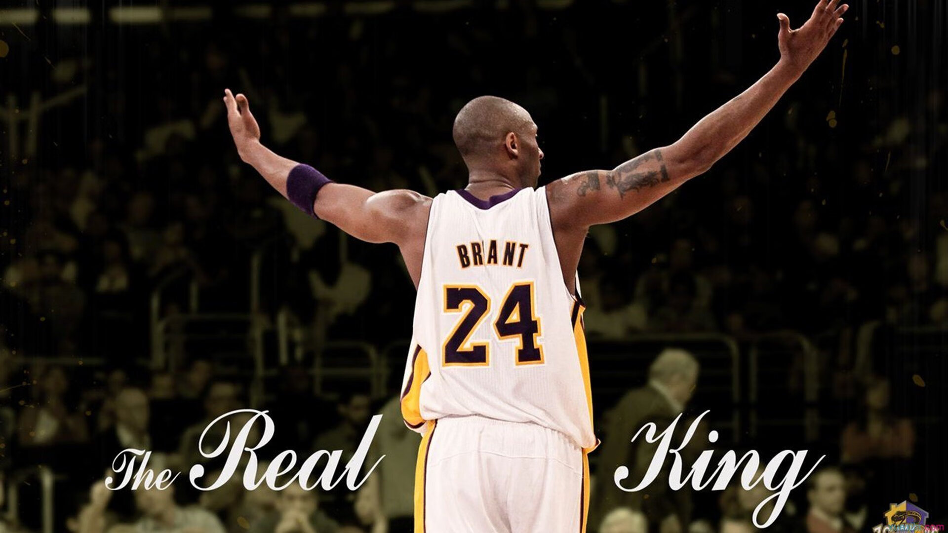 法网红土霸权碾压ATP总决赛？梅德韦杰夫状态火热背后的赛季博弈